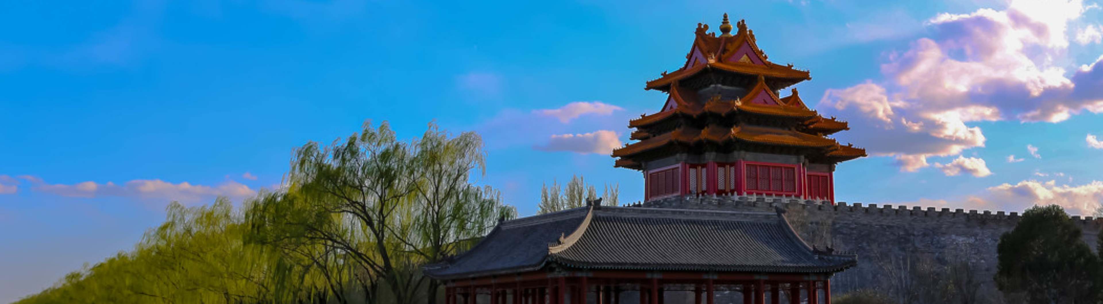 視頻