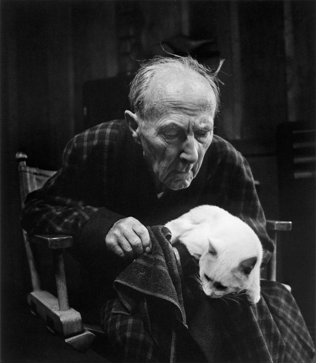 爱德华韦斯顿下篇拍最美人体撩缪斯女神猫奴是我的人生三大事4