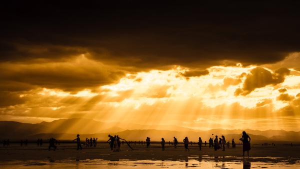 泼辣有图第十三期作品欣赏