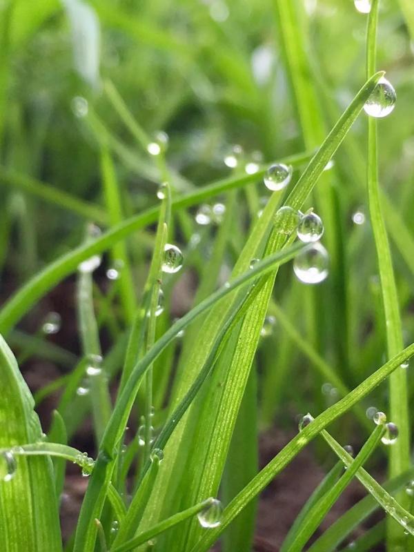 雨天摄影也很美拿起手机一起拍美照吧