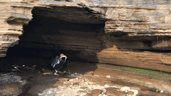 534900039124a43c4b99.gif