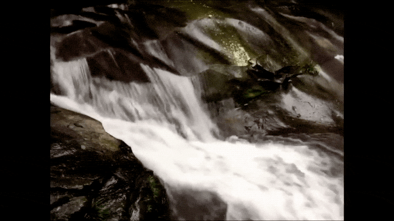 5b2900033d867d0c0b28.gif