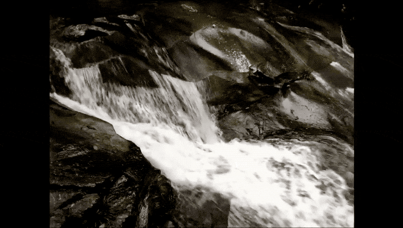 5b2900033d9583a9e24e.gif