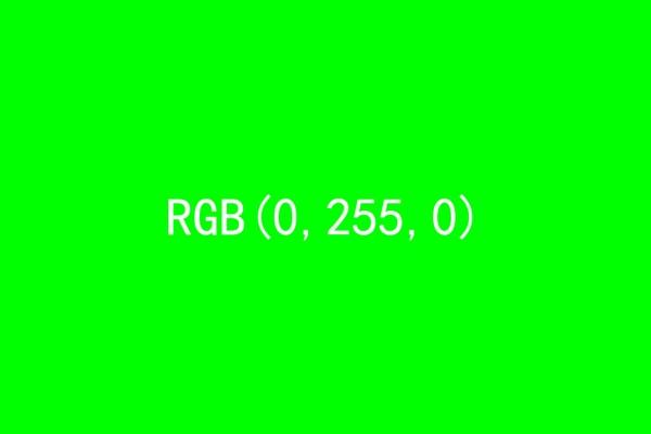 65d300091b81a7bf94c9.jpeg