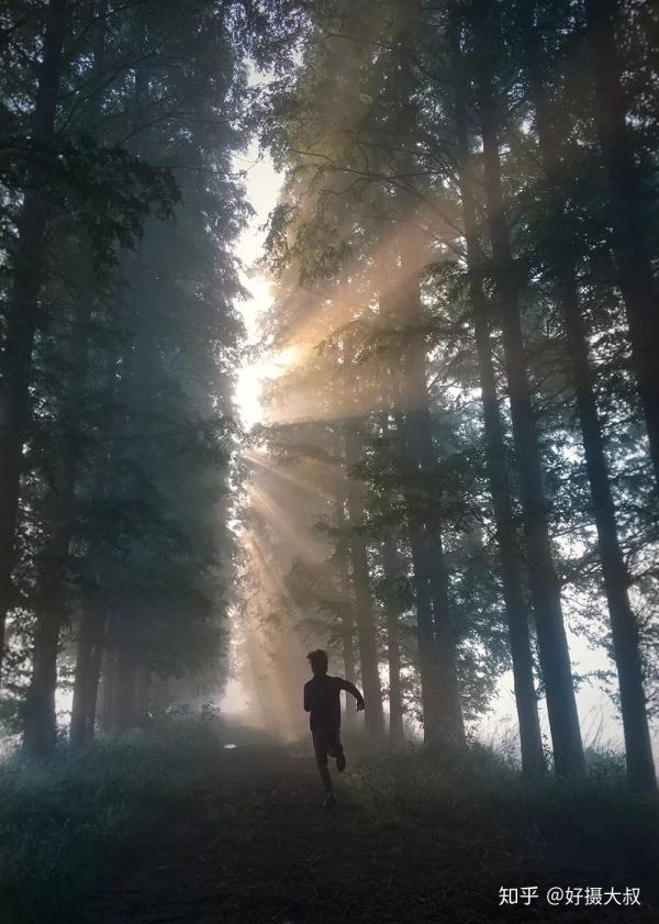 定格手机摄影大赛获奖作品公布快来领奖