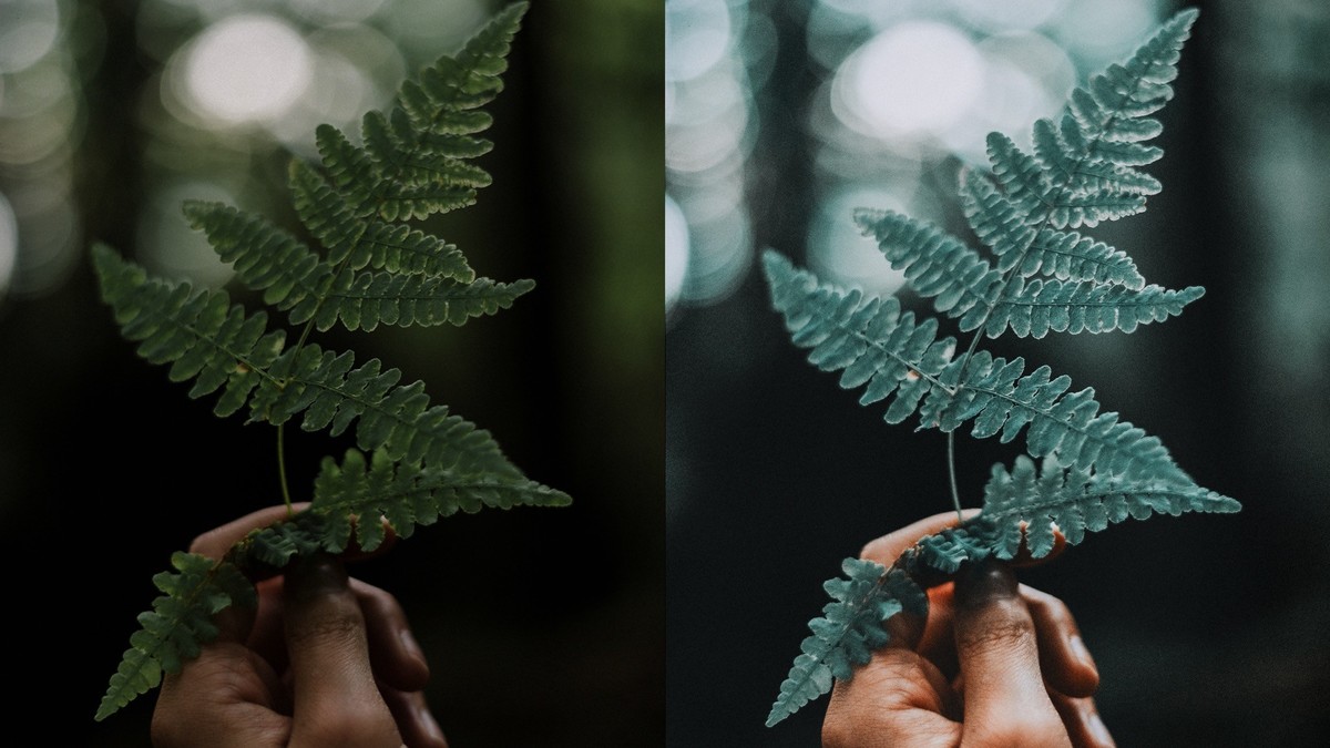 ins上最火的莫兰迪色,如何让摄影作品高级且温柔 - 图虫网 - 优质摄影