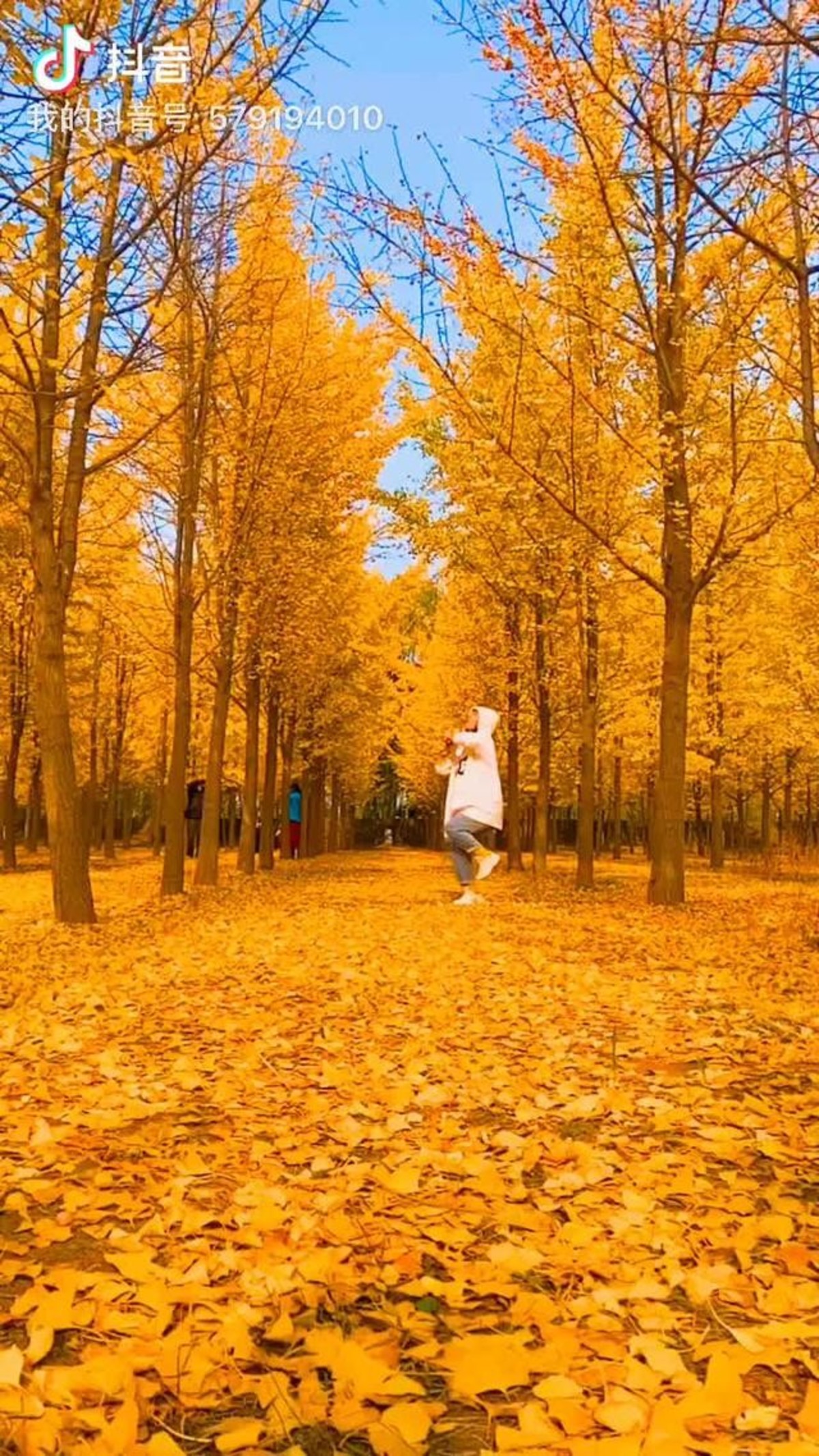 嫣然一笑终成真 - 视频 - 图虫