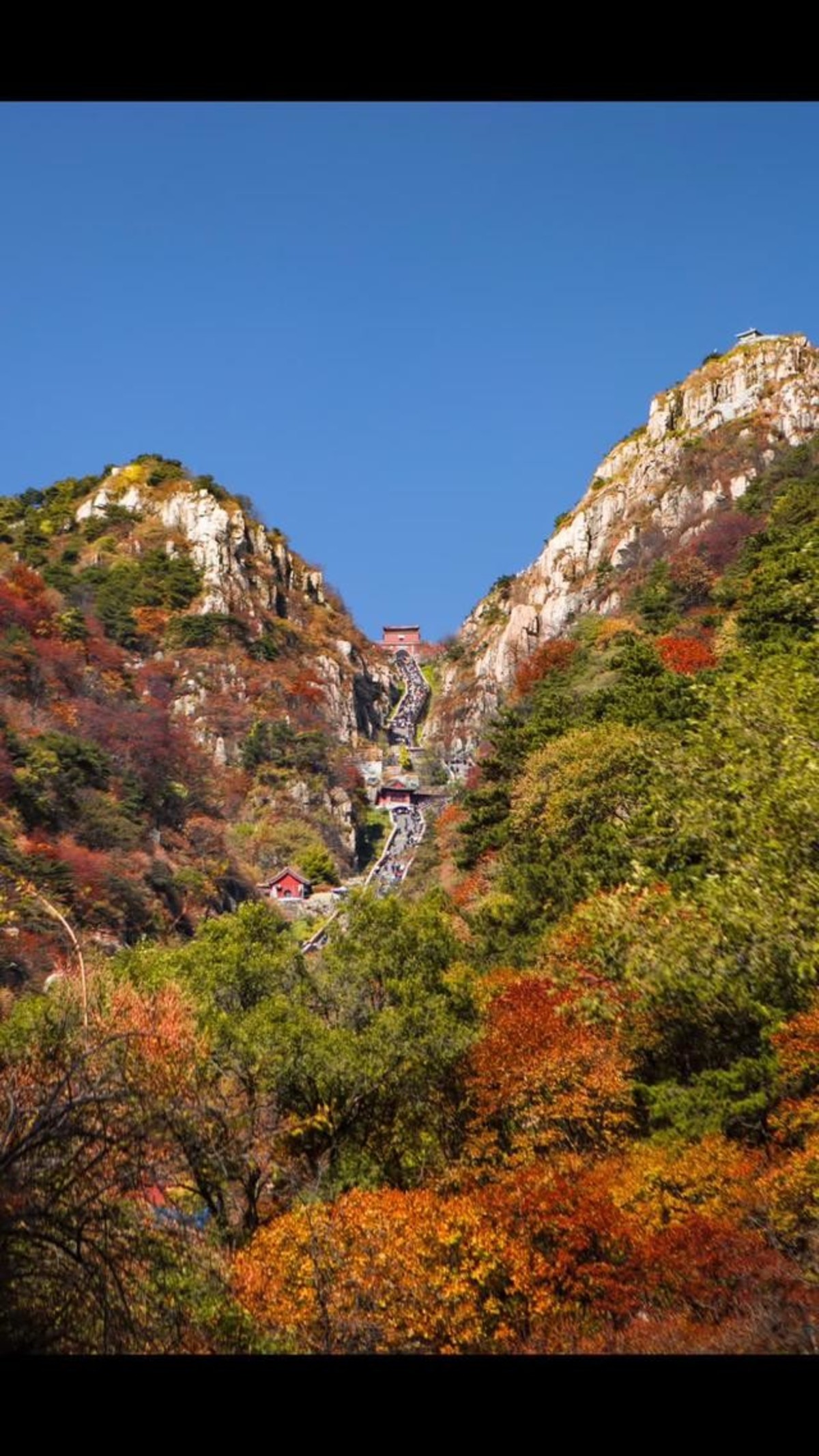 泰山小青年 - 視頻 - 圖蟲