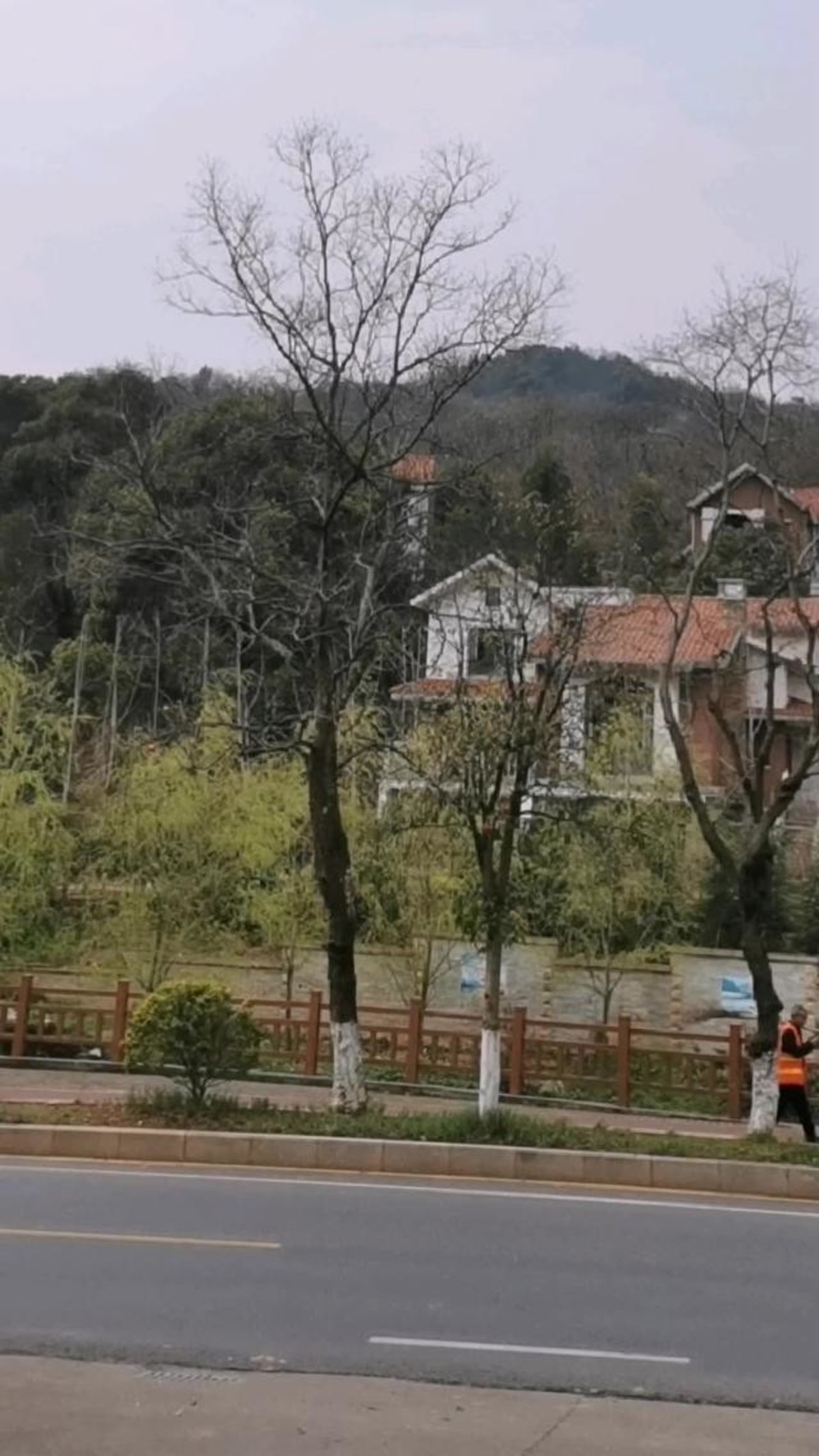 汪琪-中国太平 - 视频 - 图虫