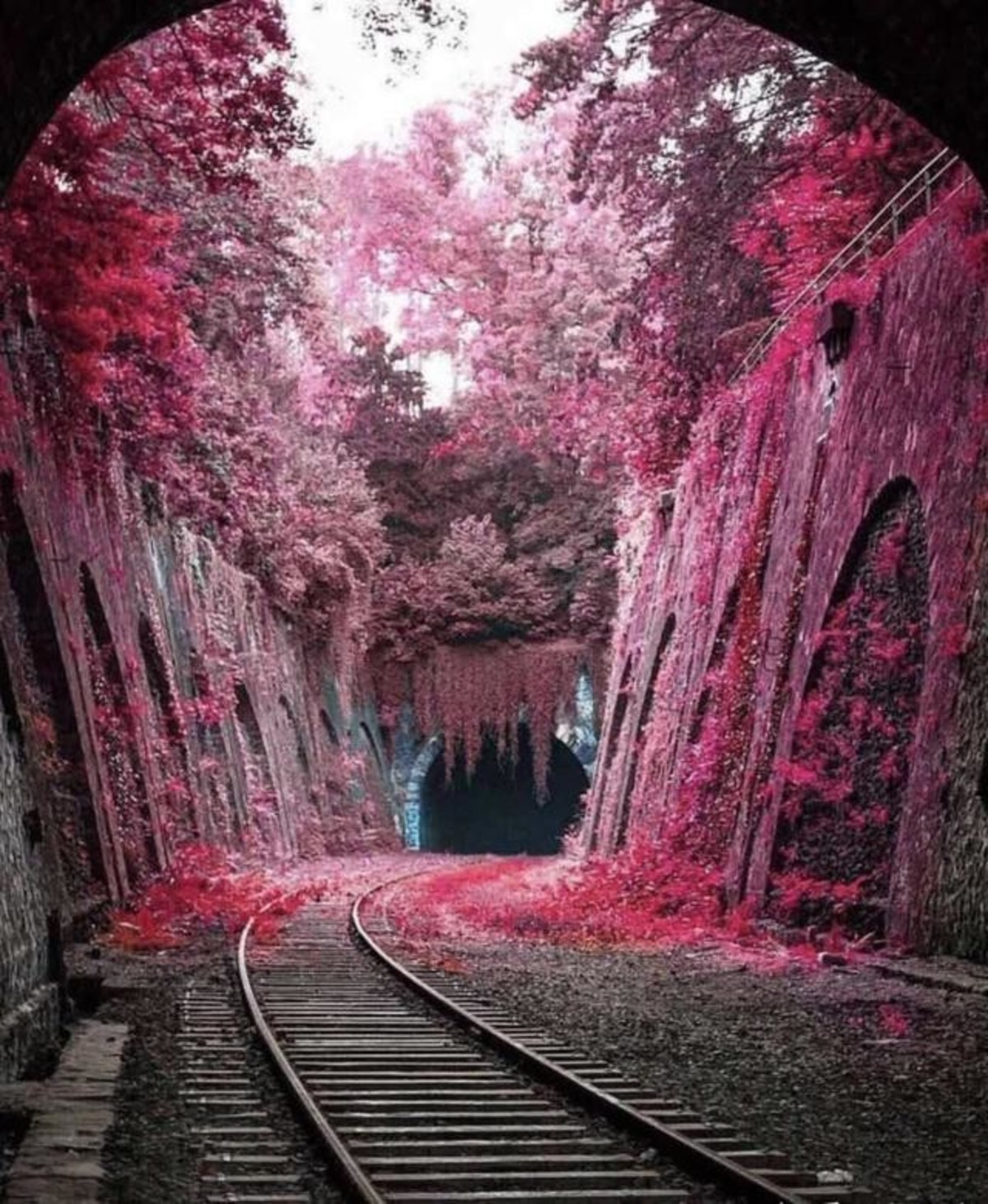 surplus旧画馆 - 视频 - 图虫