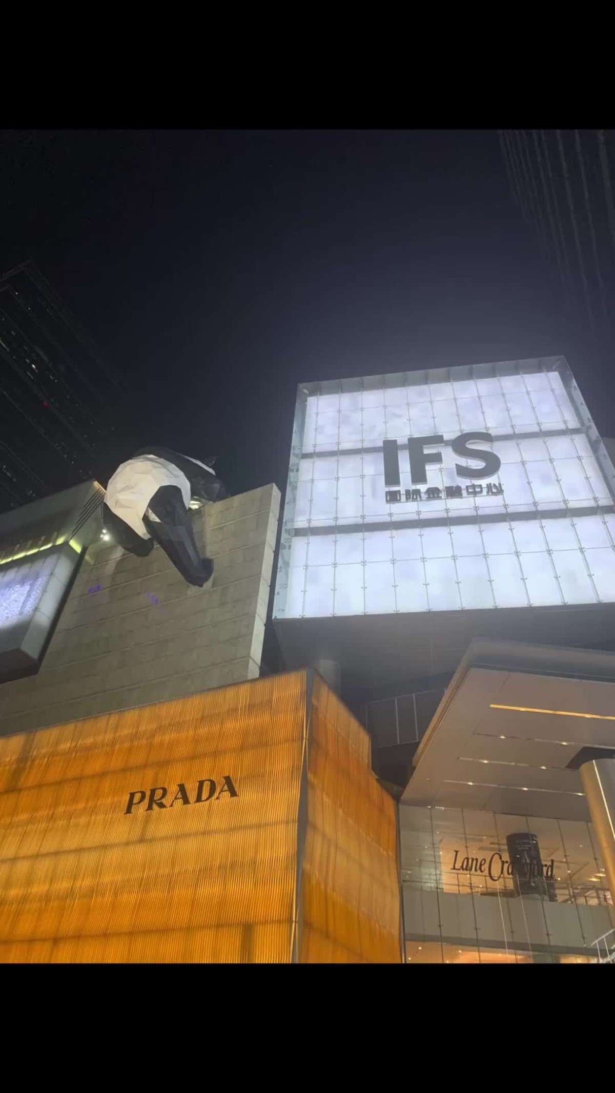 摄影师156674335888624 - 视频 - 图虫